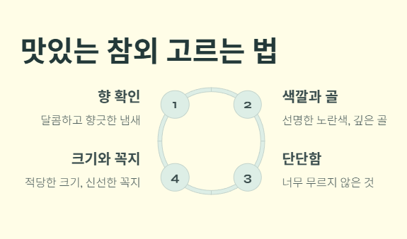 자주 묻는 질문 : 맛있는 참외 고르는 법