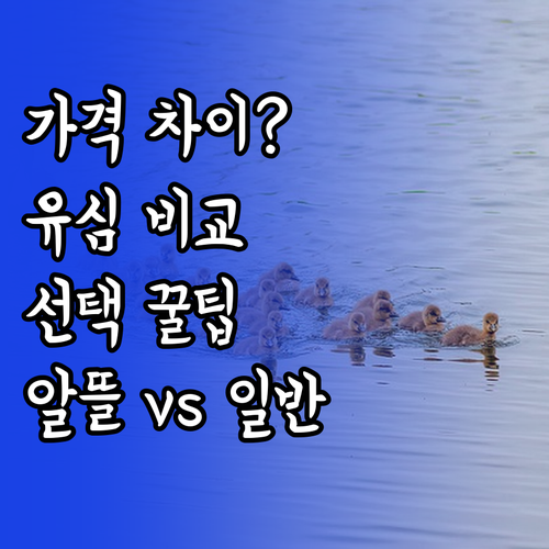 알뜰폰 유심과 일반 유심의 차이 비교..
