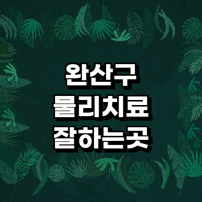 전주 완산구 정형외과