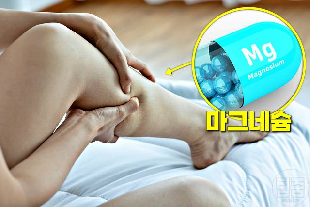 자다가 다리 쥐나는 이유 다리 쥐 마그네슘