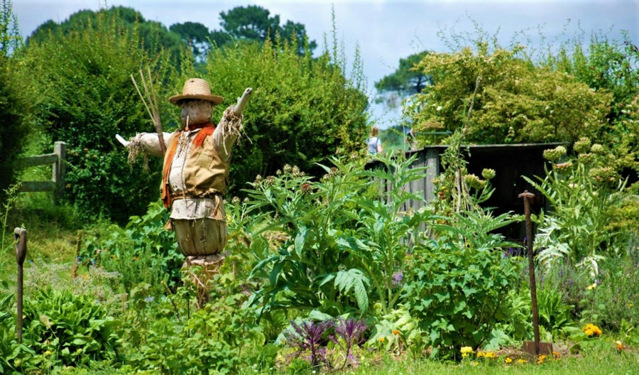 서양의 한 꽃밭에 지푸라기로 만든 허수아비가 양손을 번쩍 들고 밀집모자를 쓰고 있는 것을 찍은 사진