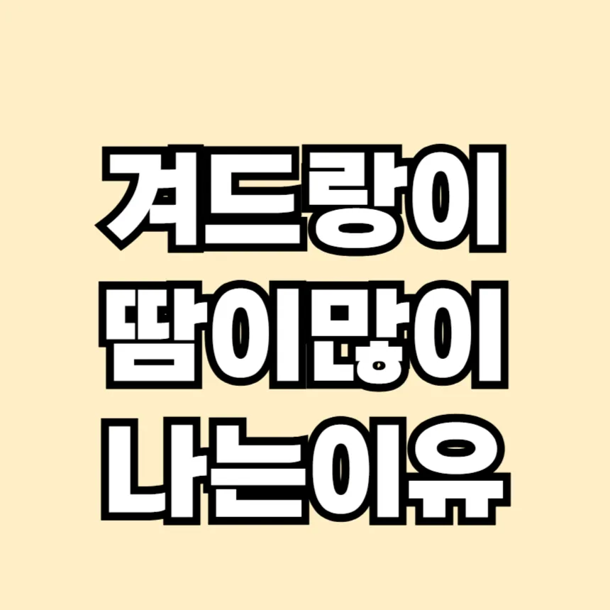 겨드랑이 땀이 많이 나는 이유