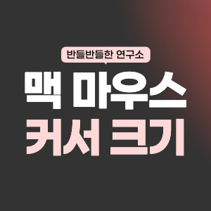 MAC 마우스 커서 크기 변경
