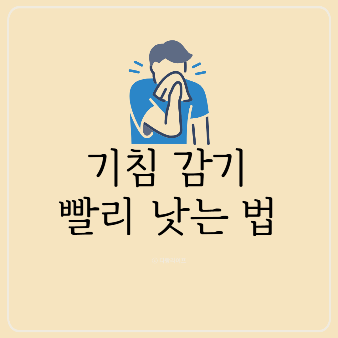 기침감기 빨리 낫는 법 기침감기 빨리 낫는 방법