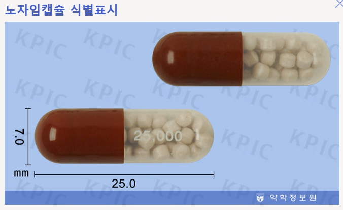 노자임 캡슐 효능