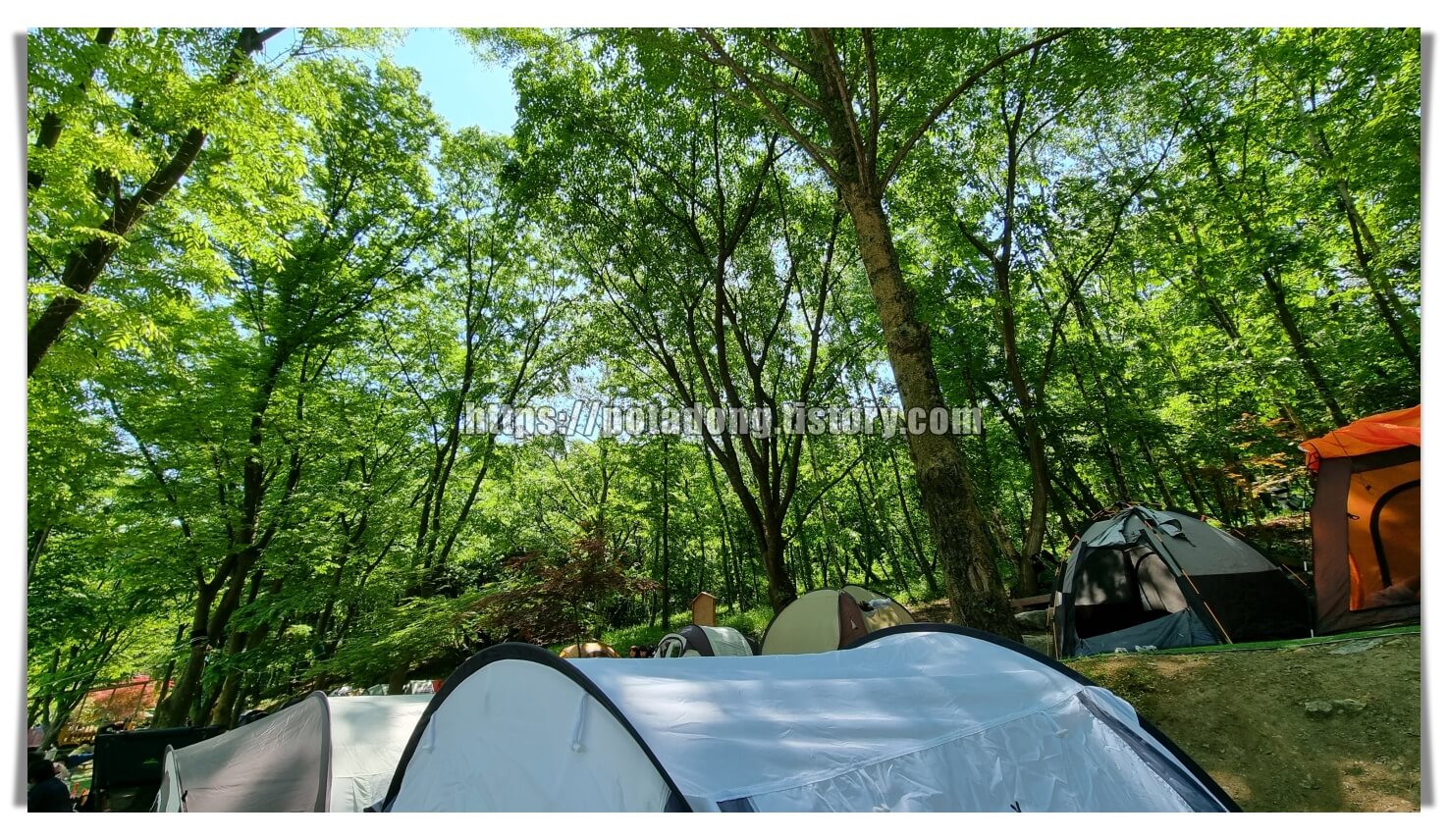 동천자연식물원