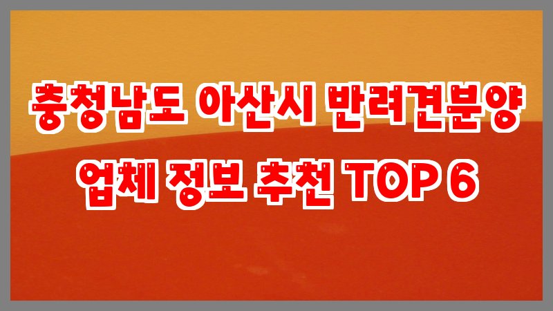 충청남도 아산시 반려견분양