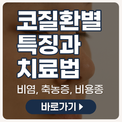 코질환별 특징과 치료법 (비염, 축농증, 비용종)