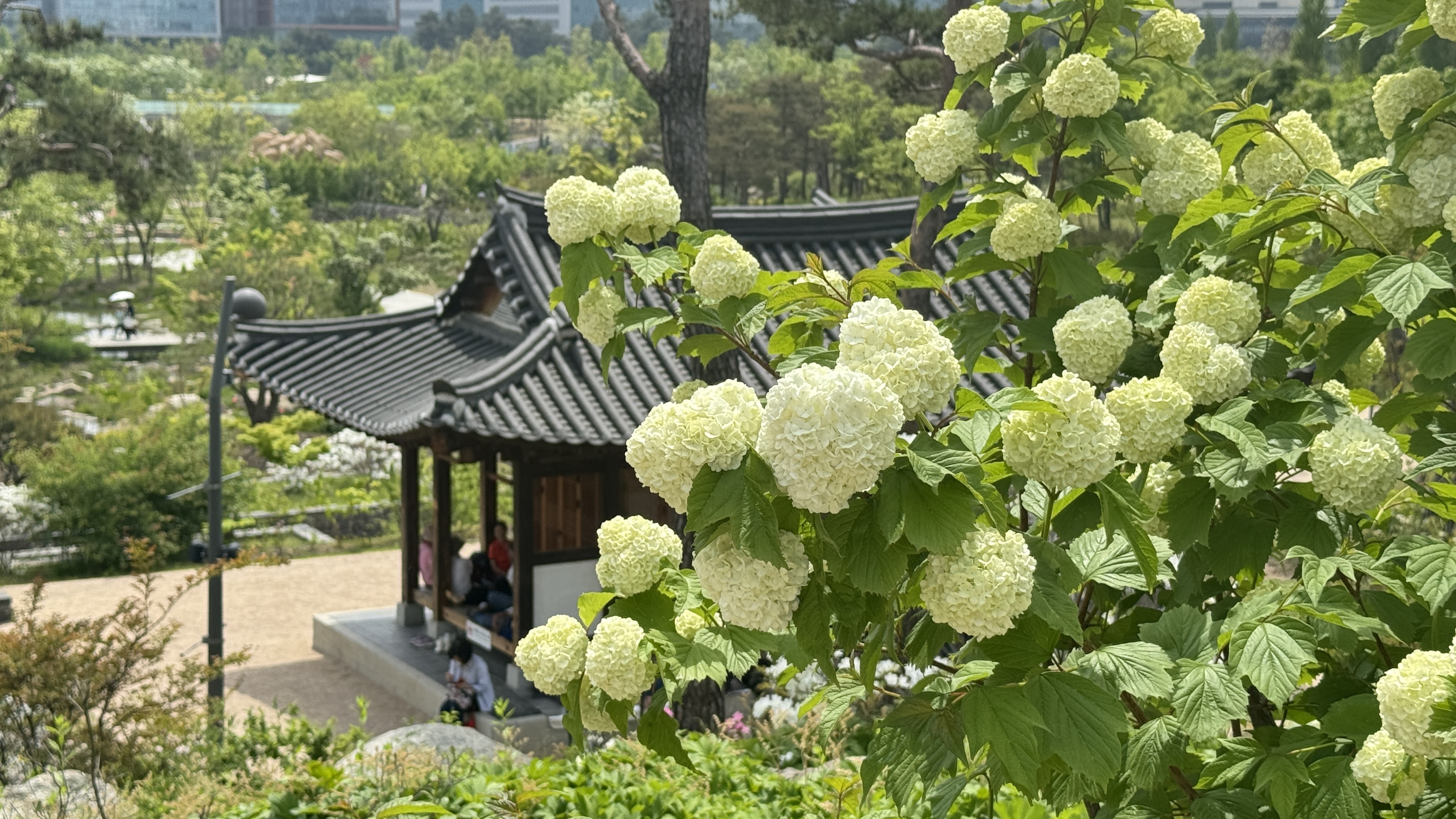 서울 식물원