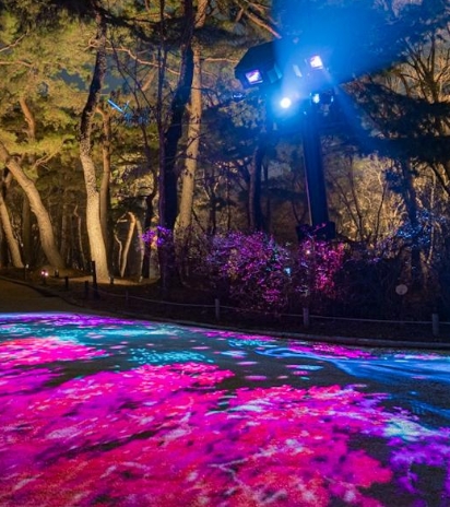 서울야경명소 창경궁 물빛연화