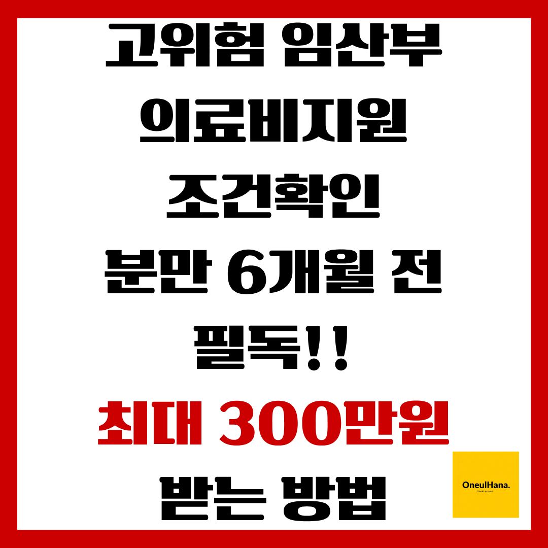 고위험임산부 의료비지원 조건확인