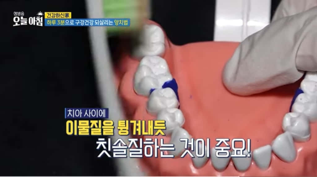 미세모 활용한 칫솔 사용 방법 3.