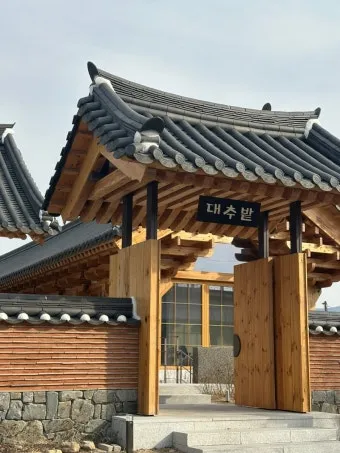 경주 대추밭 백 한의원 평일에 5대 원장님 만나본 후기_23