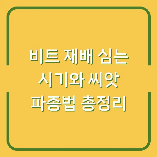 비트 재배 심는 시기와 씨앗 파종법 총정리
