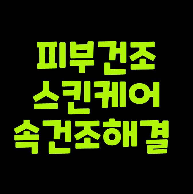 피부 건조 스킨케어 속건조 해결 정리