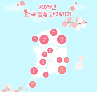 벚꽃 만개시기 2025 숨겨진 명소 베스트3_20