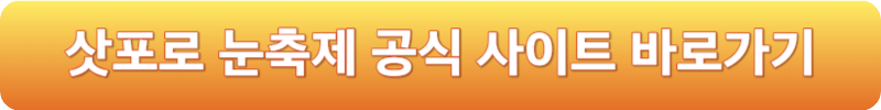 삿포로 눈축제 공식 사이트 바로가기