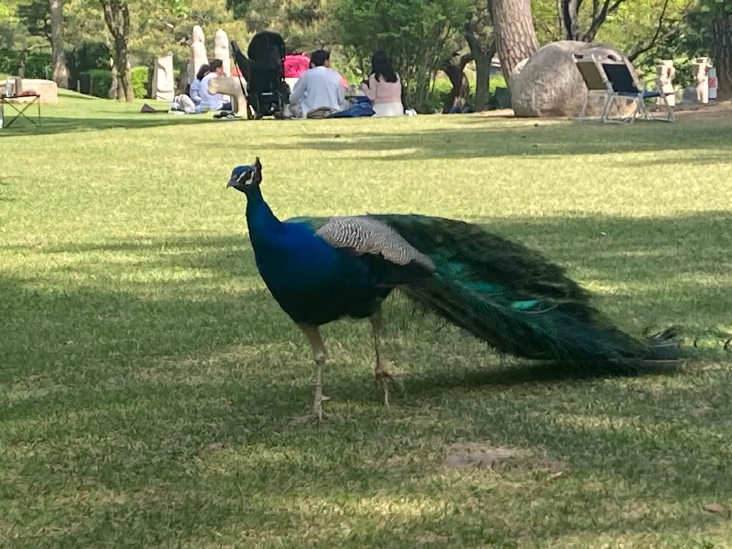 호암미술관 관람 시 유의 사항