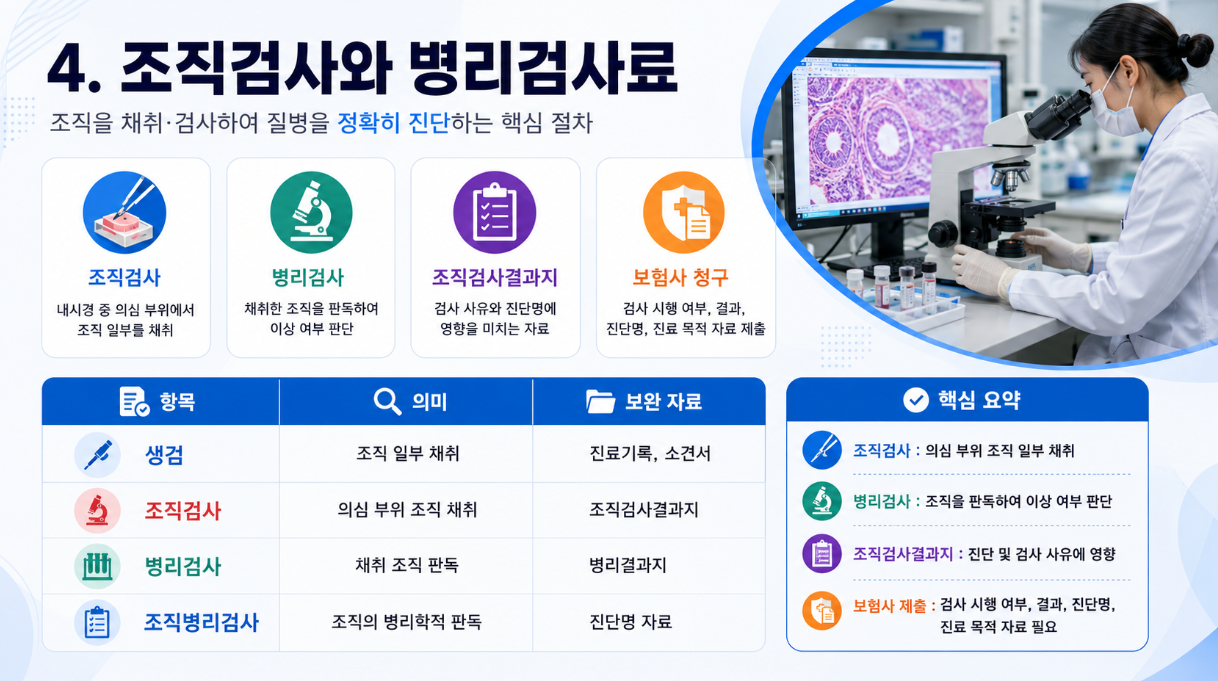 16:9 의료 인포그래픽으로 수면비와 진정내시경 환자관리료의 의미, 급여기준, 세부내역서 확인 항목을 정리한 이미지
