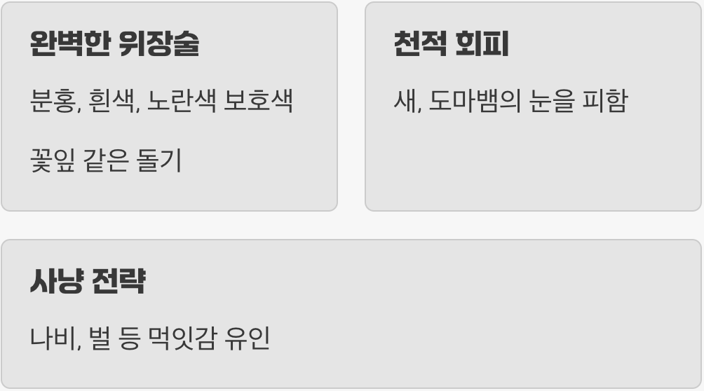 꽃으로 위장한 작은 사냥꾼