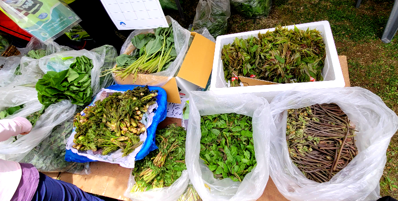 상인회 산나물 판매