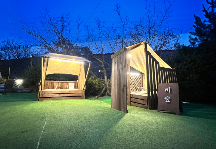 비숲 정보 안내