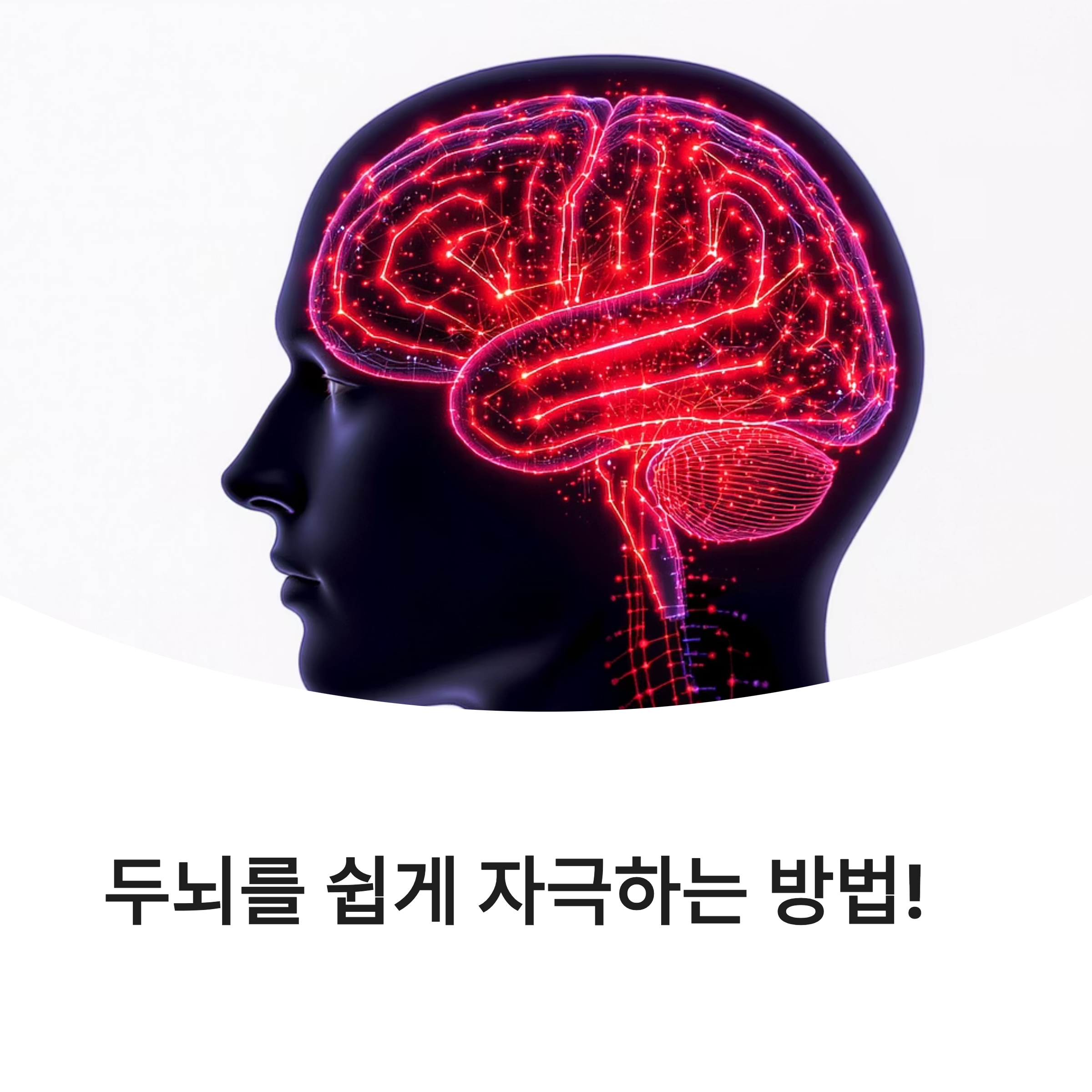 두뇌를 쉽게 자극하는 법