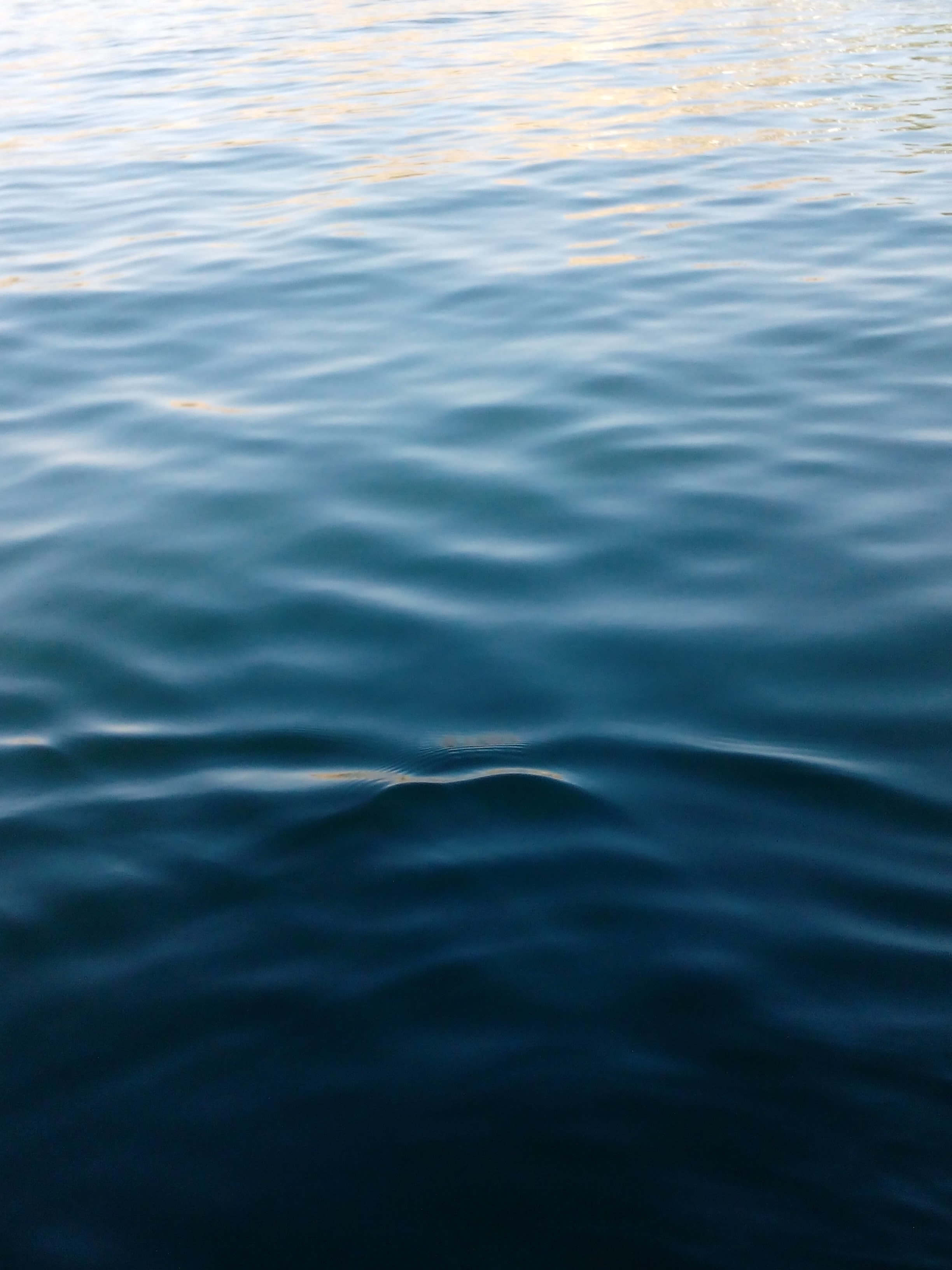 후쿠시마 오염수 방류