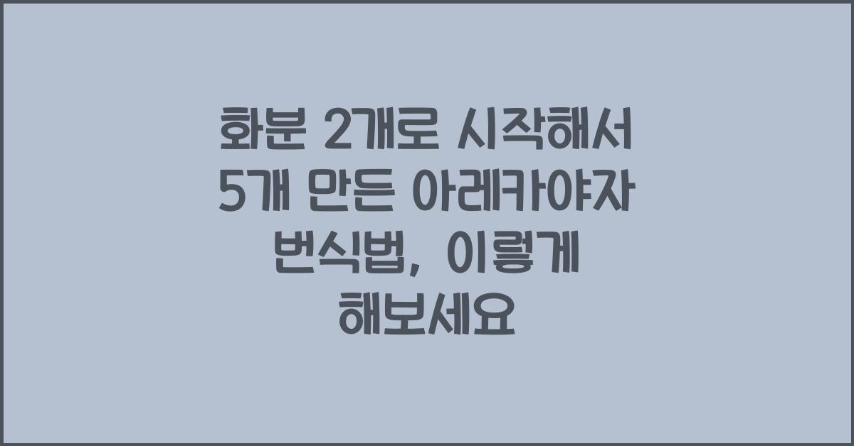 화분 2개로 시작해서 5개 만든 아레카야자 번식법