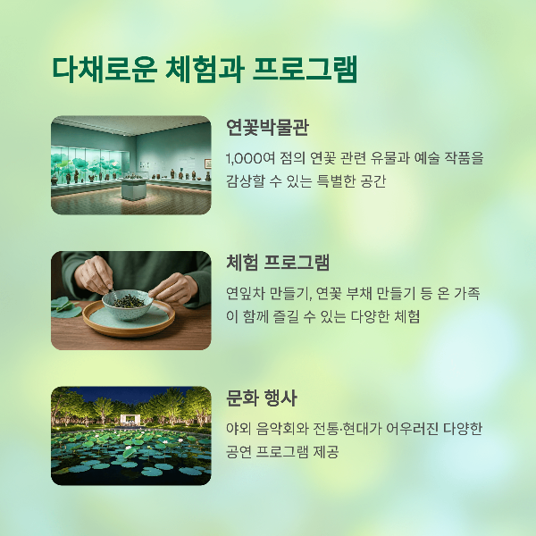 다채로운 체험과 프로그램