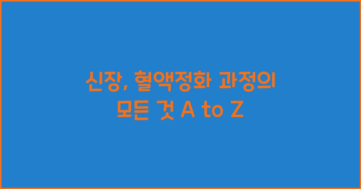 신장, 혈액정화 과정