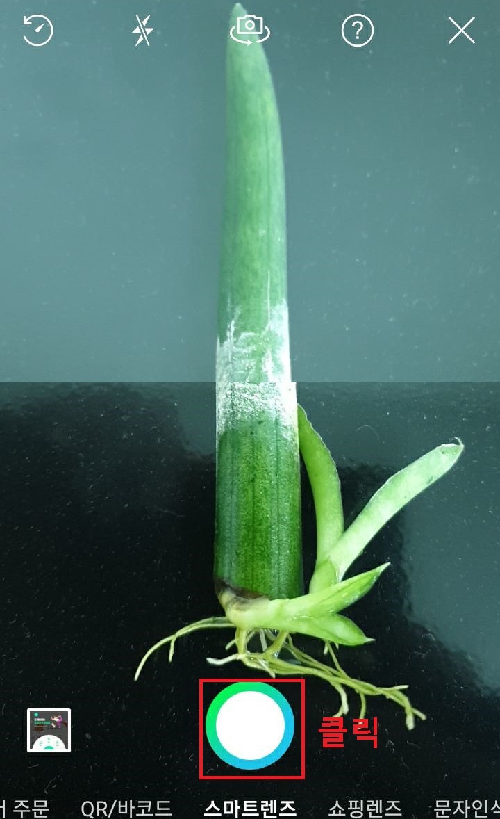 촬영버튼 클릭함