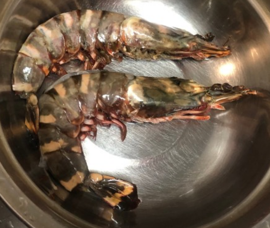 얼룩새우이자 킹타이거이자 타이거새우로 부르는 새우를 설명하는 사진.