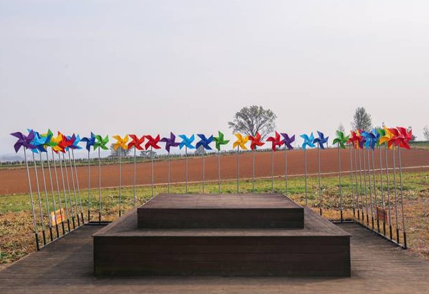 안성팜랜드-바람개비-포토존