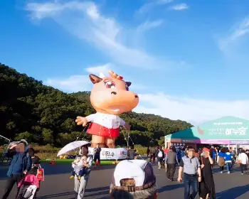 횡성 한우축제_3