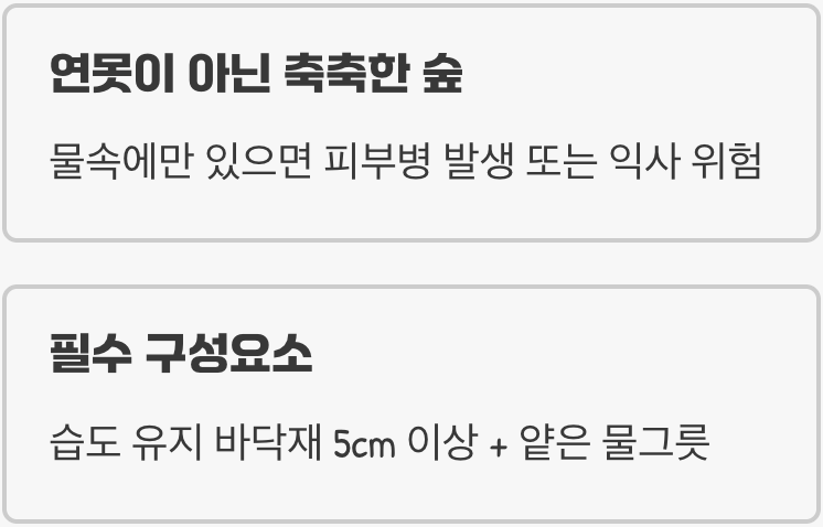 사육장 - &amp;#39;연못&amp;#39;이 아닌 &amp;#39;축축한 숲&amp;#39;을 만들어주세요