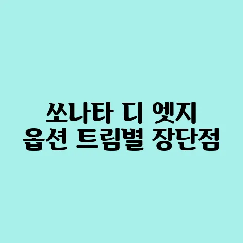 쏘나타 디 엣지 옵션 트림별 장단점
