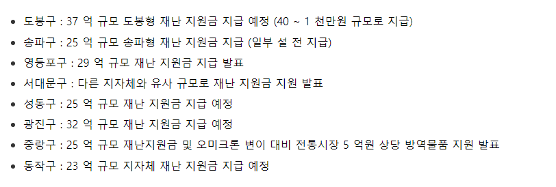 서울특별시-재난지원금