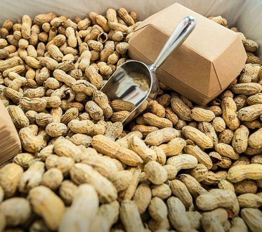 파이브가이즈 땅콩