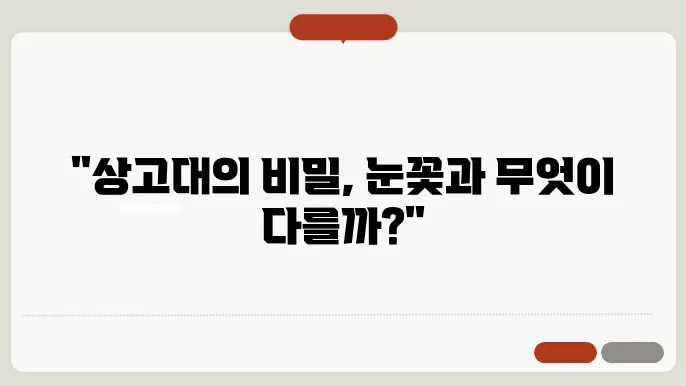 상고대 뜻, 상고대와 눈꽃의 지침