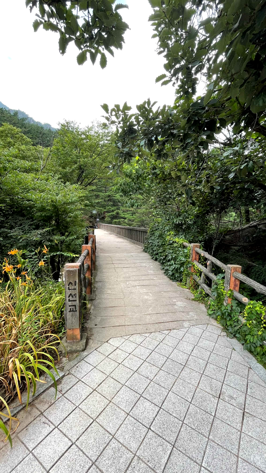 무릉계곡 신선교