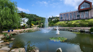 용인 자작나무숲