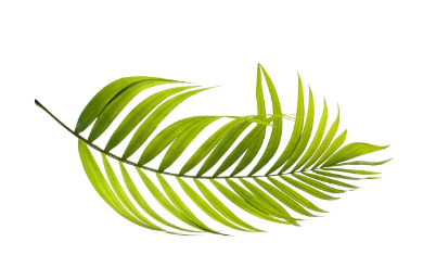 전기요금 할인 중복 받을 수 있나요? 가능한 조합 총정리