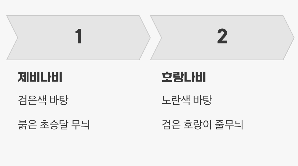 제비나비? 호랑나비? 쉬운 구별법