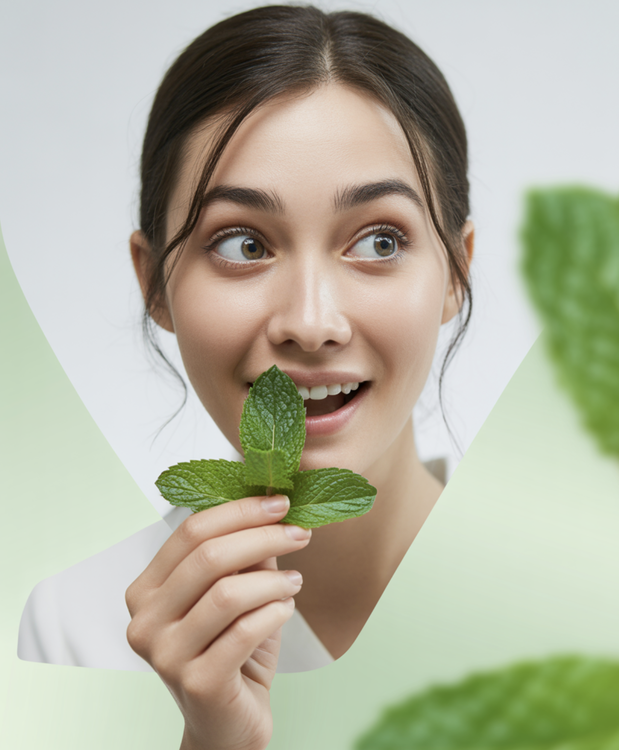 민트? 깻잎? 독특한 그 맛의 정체