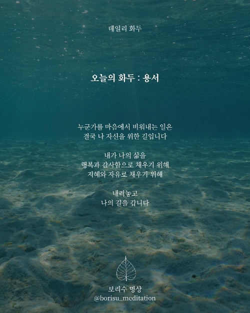 환희지의 보리수 명상 : Day 14 화두 : 용서