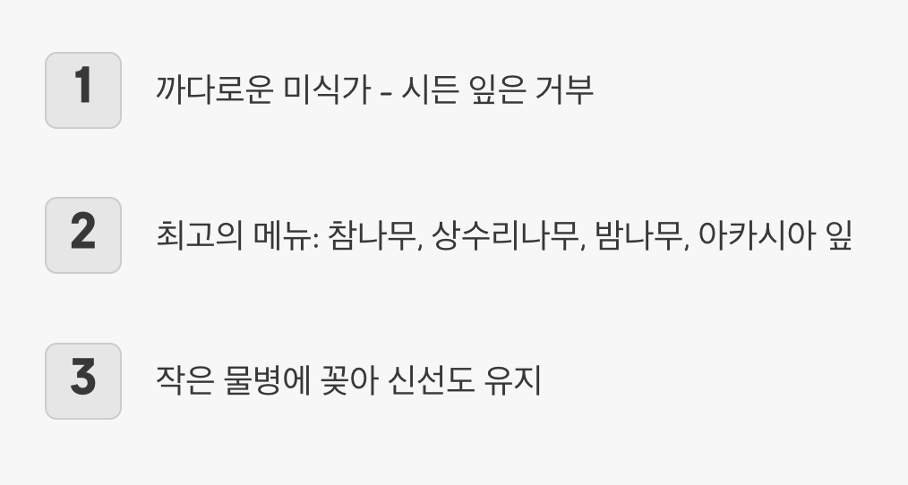 먹이 - '신선한 나뭇잎'이 유일한 밥