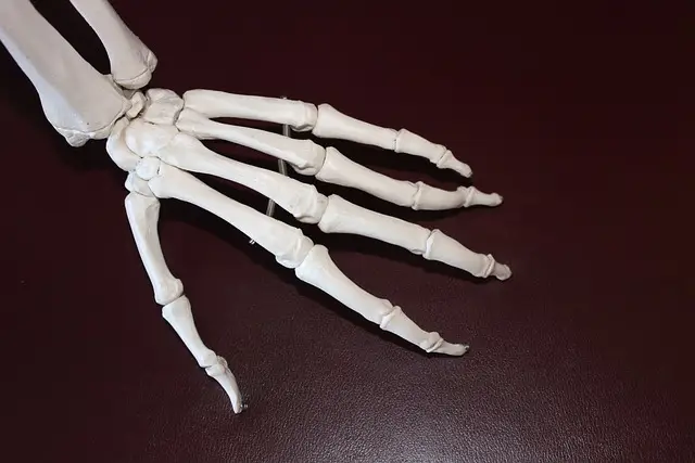 관절 건강