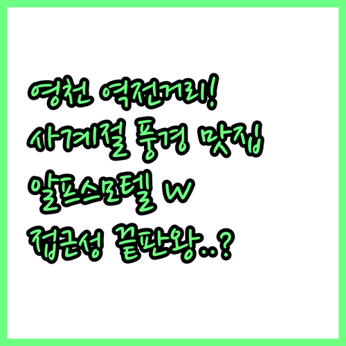 영천 역전거리 사계절 풍경 변화와 접..