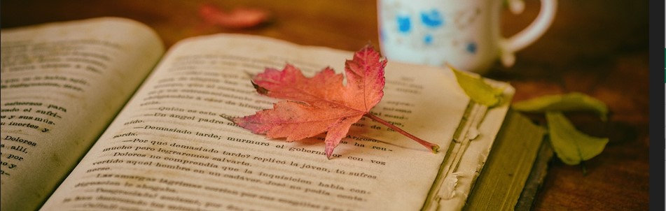커피와 단풍잎과 책이 있는 사진